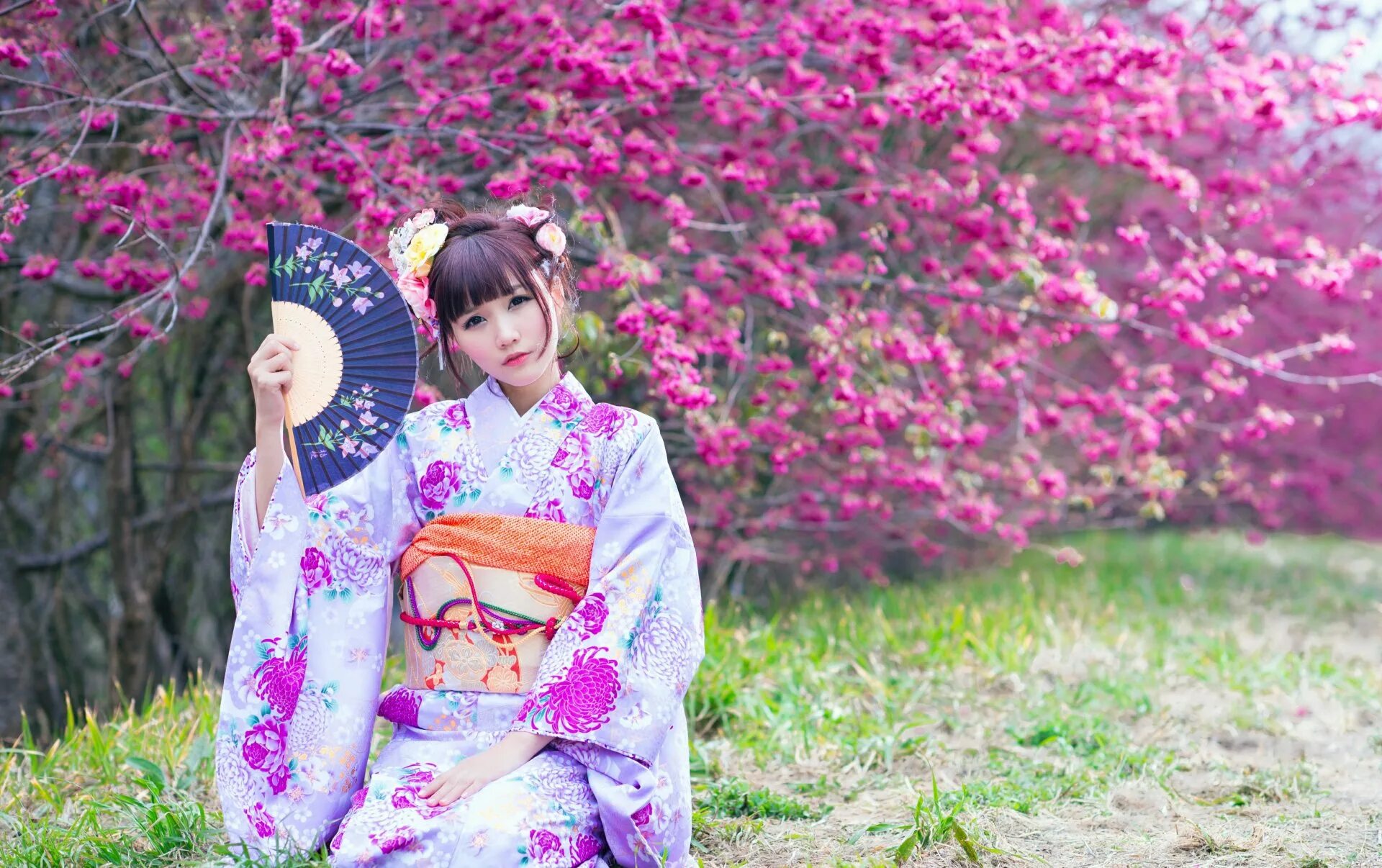 Видео красивой японской девушки. Фурисодэ кимоно. Фурисодэ кимоно Сакура. Фурисодэ кимоно женское. Япония девушки в кимоно гейша.