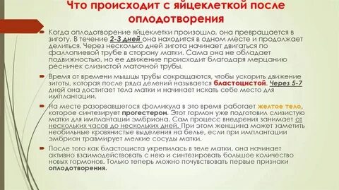 Сколько аутосом содержится в яйцеклетке