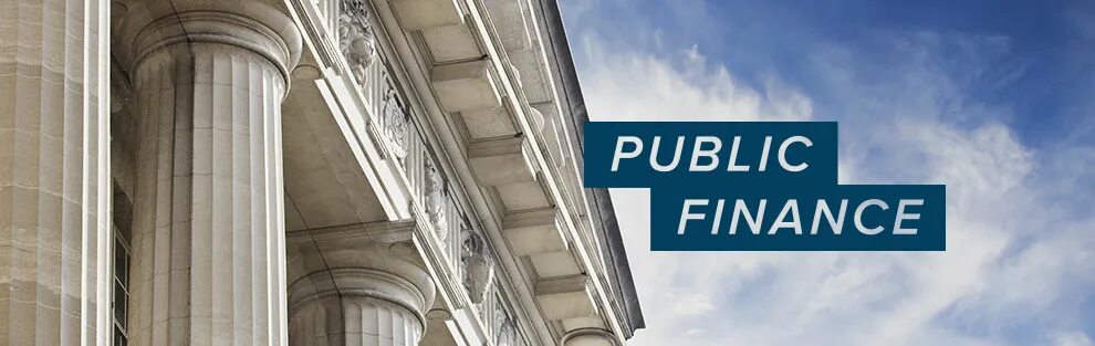 Public finance. Urban public Finance. Паблик про финансы. Public Finance in Britain.