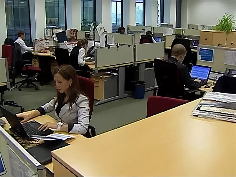 ньюсленд новости. ньюсленд ру.