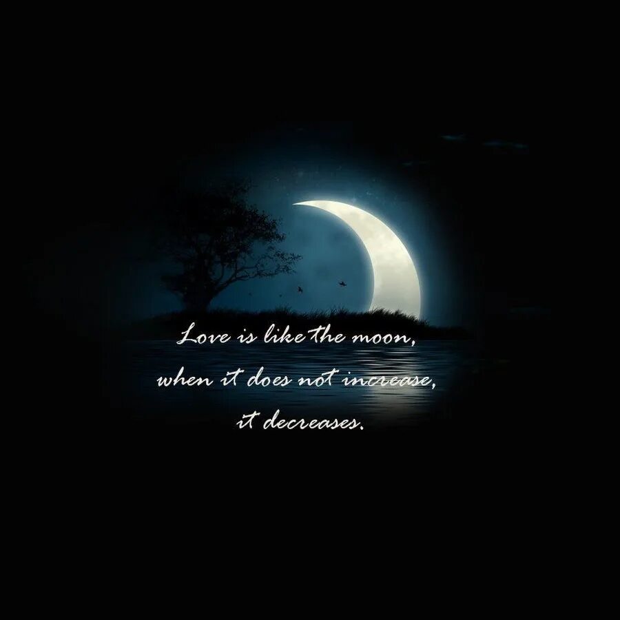 Moonlit floor lyrics. Moonlit floor lyrics. Moonlit floor lyrics. Луна светит. Moon quotes.