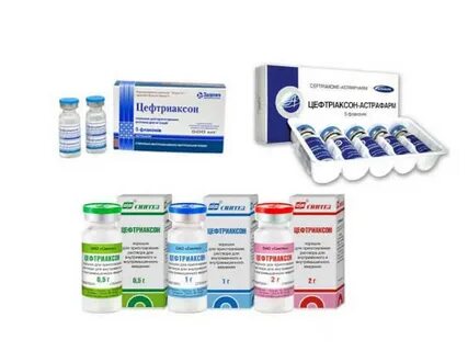 Можно кошке колоть цефтриаксон