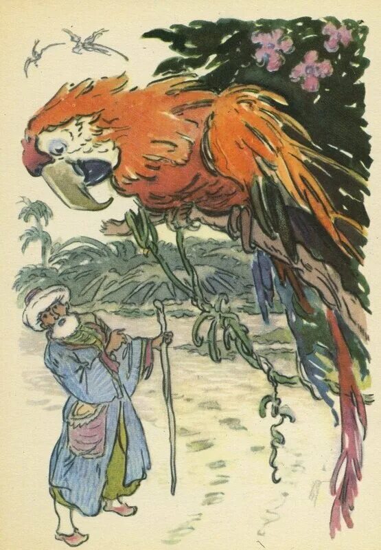 Индийская сказка птиц. Сказки попугая индийские. Купец и попугай сказка. Торговец и попугай.