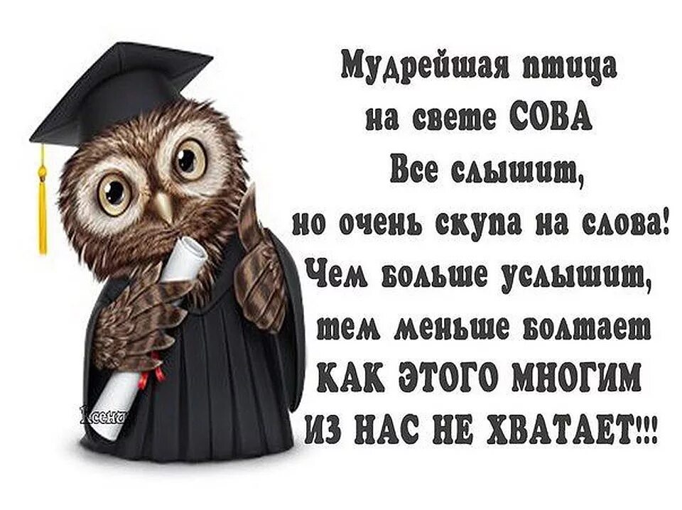 Будь самым мудрым