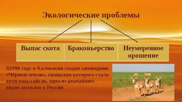 Проблемы полупустынь в россии. Экологические проблемы пустыни. Экологические проблемы калмыки. Экологические проблемы пустыни России. Экология проблемы пустыни.