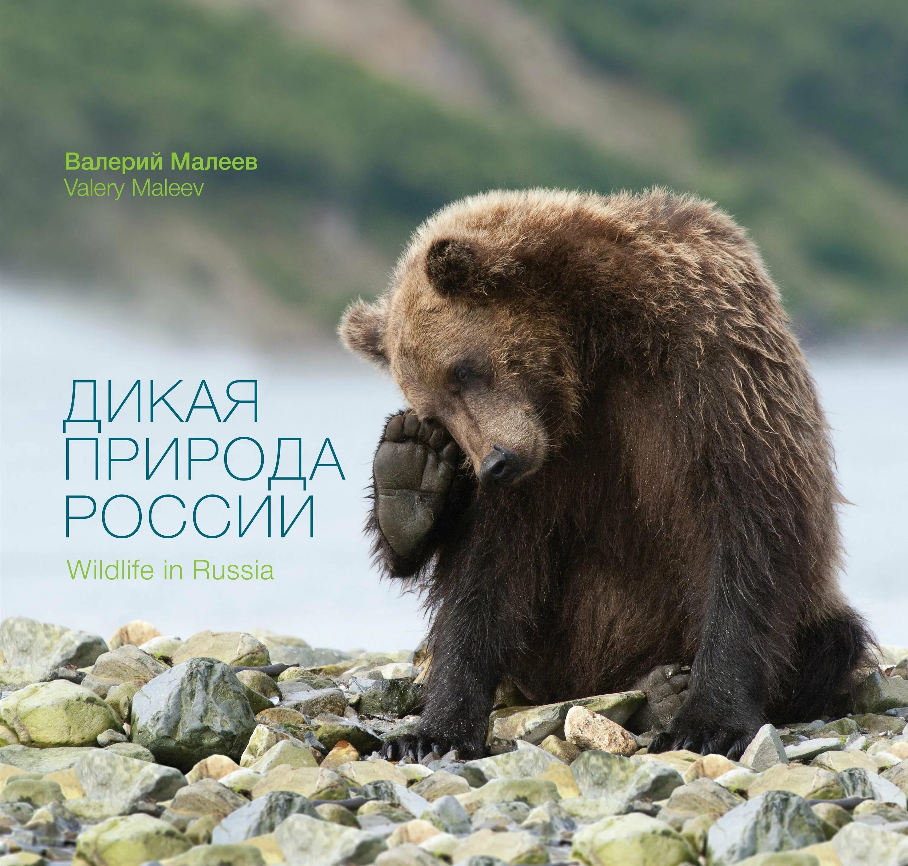 день дикой природы. всемирный день дикой природы 2024 в доу. всемирный день дикой природы. акция атлас дикой природы. фонд дикой природы буклет.