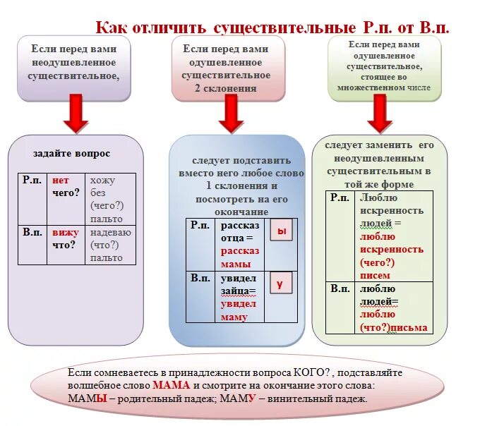 Как отличить винительного в существительных. Винительный падеж множественного числа существительных. Родительный и винительный падеж множественного числа. Различить винительный и родительный падеж существительных. Как отличить родительный и винительный падежи во множественном числе.