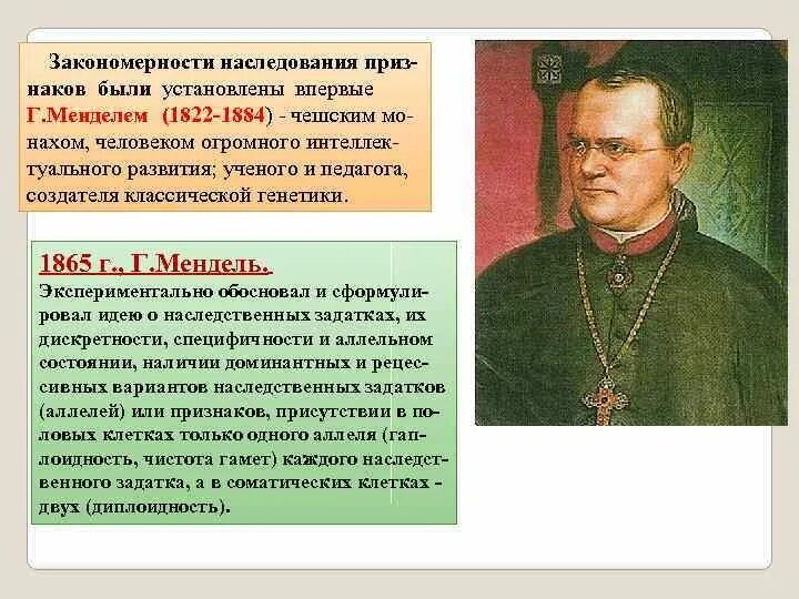 Основные наследования признаков. Закономерности наследования г. Менделя. Закономерности наследования признаков г Менделя. Закономерности наследования признаков установленные Менделем. Закономерности наследственности установленные г Менделем кратко.