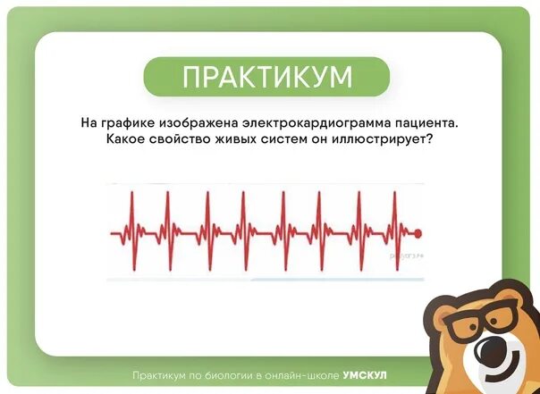 На графике изображена электрокардиограмма. На графике изображена электрокардиограмма пациента.. свойства живых систем электрокардиограмма. какое свойство живых систем он иллюстрирует?. свойства живых систем кардиограмма.