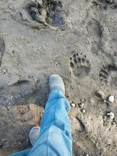 След река