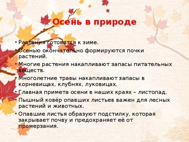 Действие происходит осенью