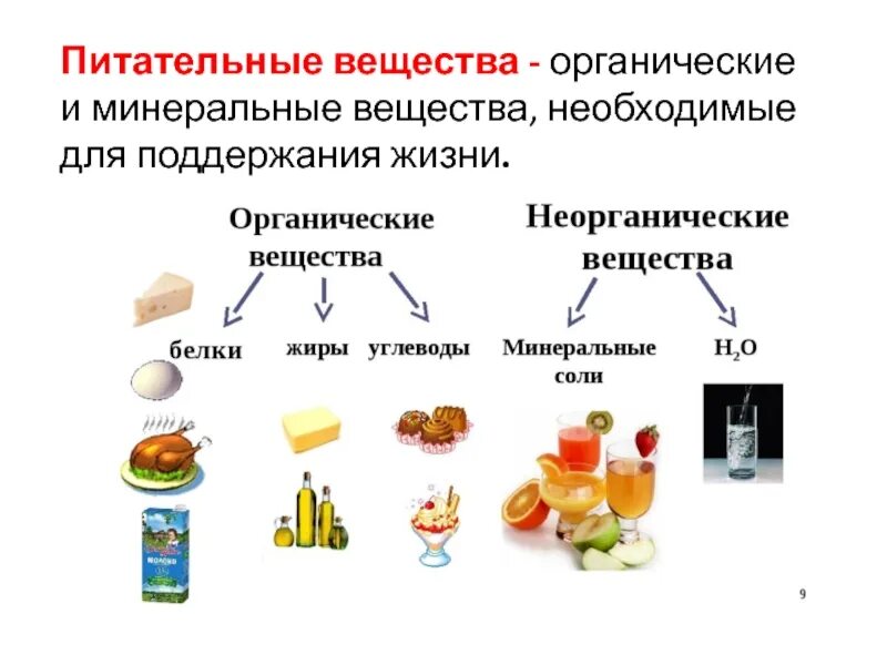 Назовите какие питательные. Питательные вещества. необходимые питательные вещества. пищевые вещества необходимые. питательные вещества для организма человека.
