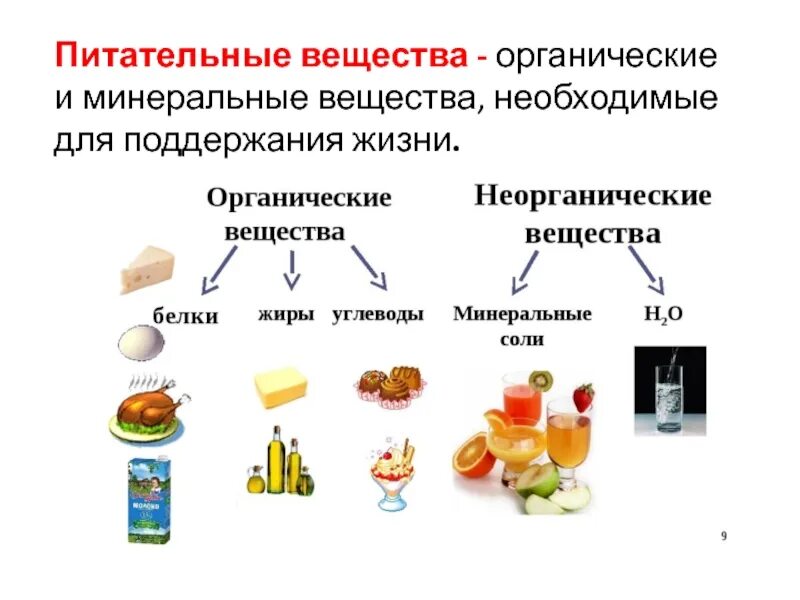 Необходимое для жизни органическое вещество