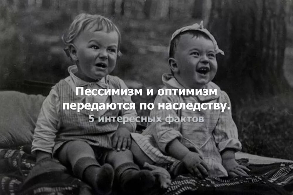 Выразить оптимизм. Пессимисты и оптимисты афоризмы. оптимизм и пессимизм фразы. шутки про оптимизм. оптимизм картинки.