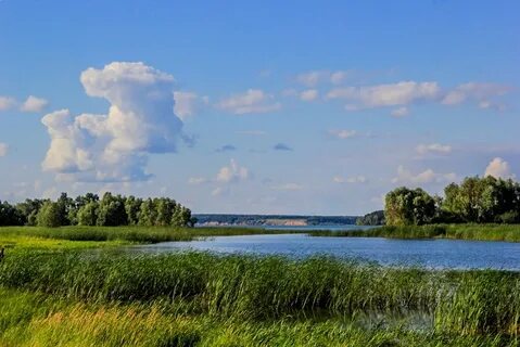 Ульяновская природа