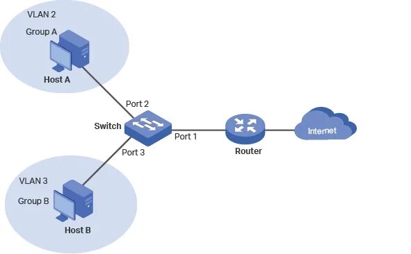 Link host. VLAN на основе стандарта IEEE 802.1Q. Схема VLAN. VPN на базе маршрутизаторов. VLAN что это в роутере.