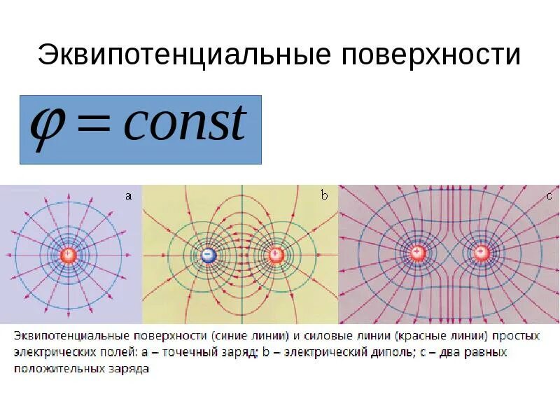 Каково направление линий напряженности. Картина эквипотенциальных линий электростатического поля. Эквипотегциальные поверхносьи поле двух харчдов. Эквипотенциальные поверхности для точечного электрического заряда.. Эквипотенциальные линии для точечного положительного заряда.