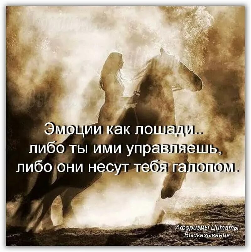 Либо цитаты. Эмоции как лошади либо ты ими управляешь либо они несут тебя галопом. эмоции как кони. эмоции как лошади. лошадь и эмоциями цитаты.