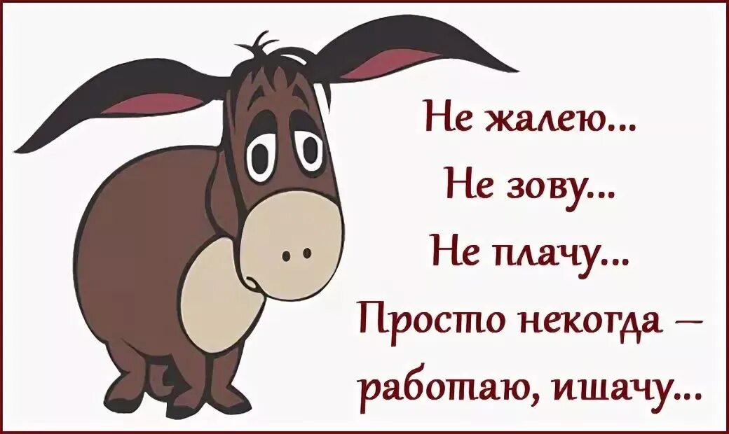 Не жалейте не зовите