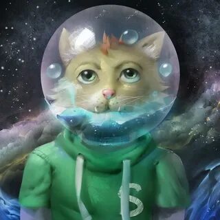 Видео канал кот