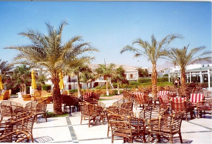 Seti Sharm Resort 4. Египет Seti Sharm Resort (ex. Fun&Sun Smart Seti) 4* Хадаба, Шарм-Эль-Шейх. Dessole Seti Sharm Resort 4. Fun Sun Smart Seti Sharm 4 Египет Шарм-Эль-Шейх.