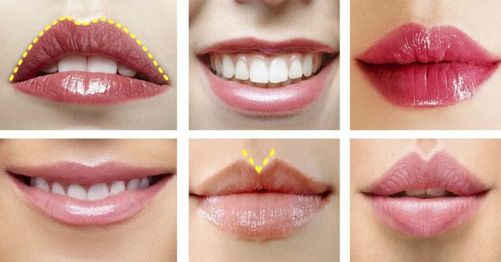 Lips types