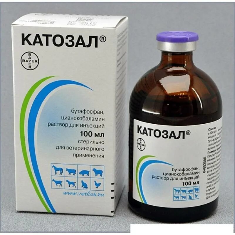 От поноса телятам народные. Уколы катозал. лекарство от поноса для телят. телятам от поноса препараты. катозал для собак.