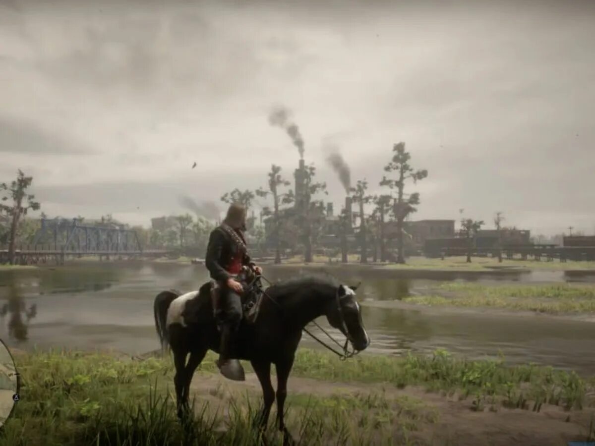 Red Dead Redemption 2 арабская лошадь. Ред дед редемпшен 2 арабский скакун. Арабская лошадь РДР 2. Арабская Вороная лошадь rdr2. Рдр 2 где найти арабскую лошадь