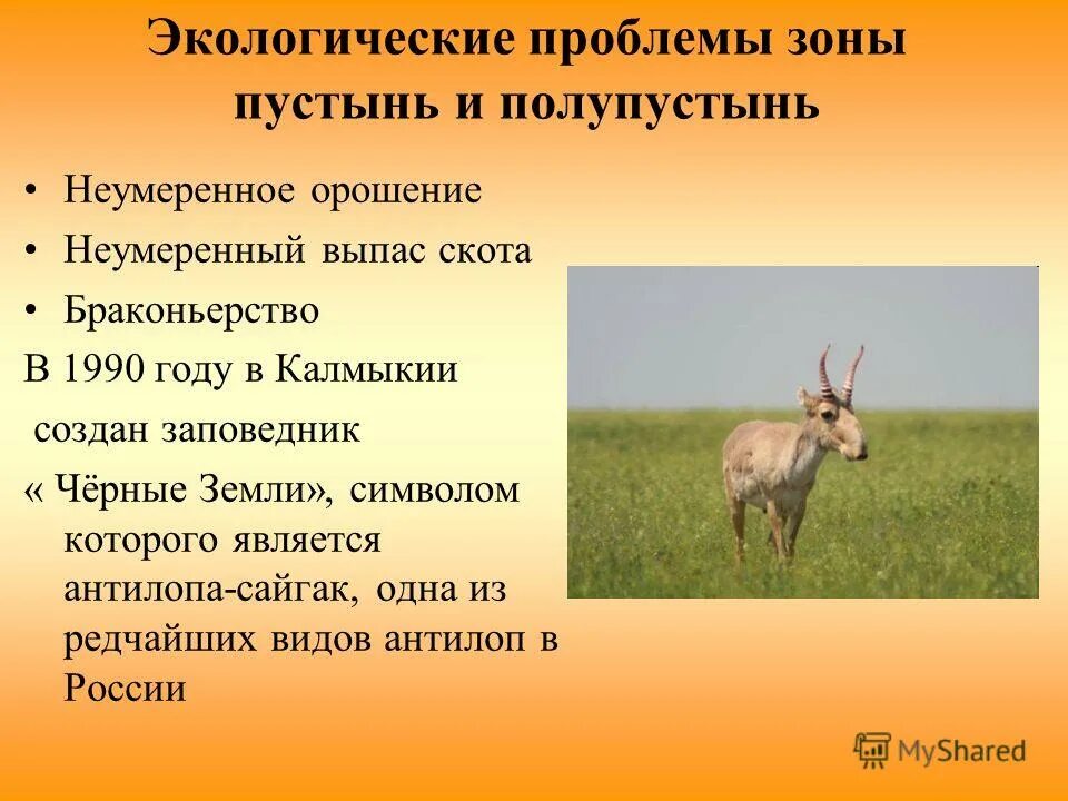 Экологические проблемы полупустынь в россии