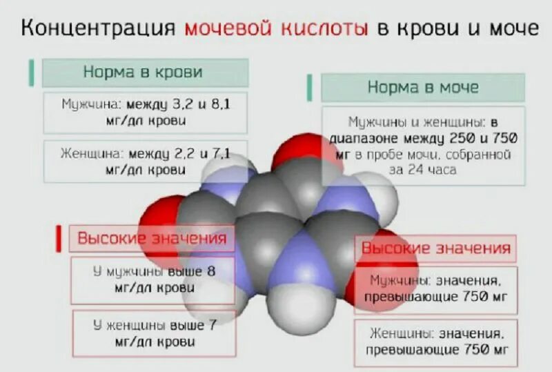 Кислота в крови повышена причины симптомы. Норма мочевой кислоты в моче норма. Мочевая кислота в моче концентрация норма. Повышение концентрации мочевой кислоты в крови. Нормальные показатели мочевой кислоты в крови у женщин.