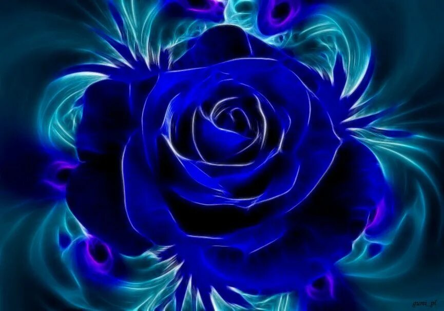 Синие красные 9. Красивые Неоновые цветы. Волшебный синий цветок. Неоновый синий цветок. Неоновые голубые розы.