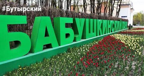 Бабушкинский парк 9 мая 2024