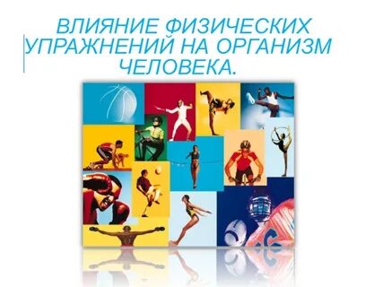 Реферат влияние физических упражнений на человека
