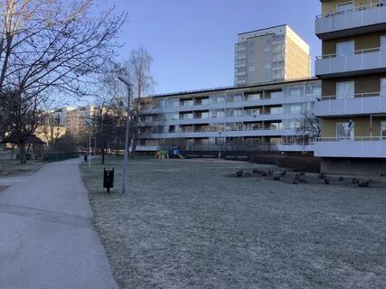 Аккуратный 5