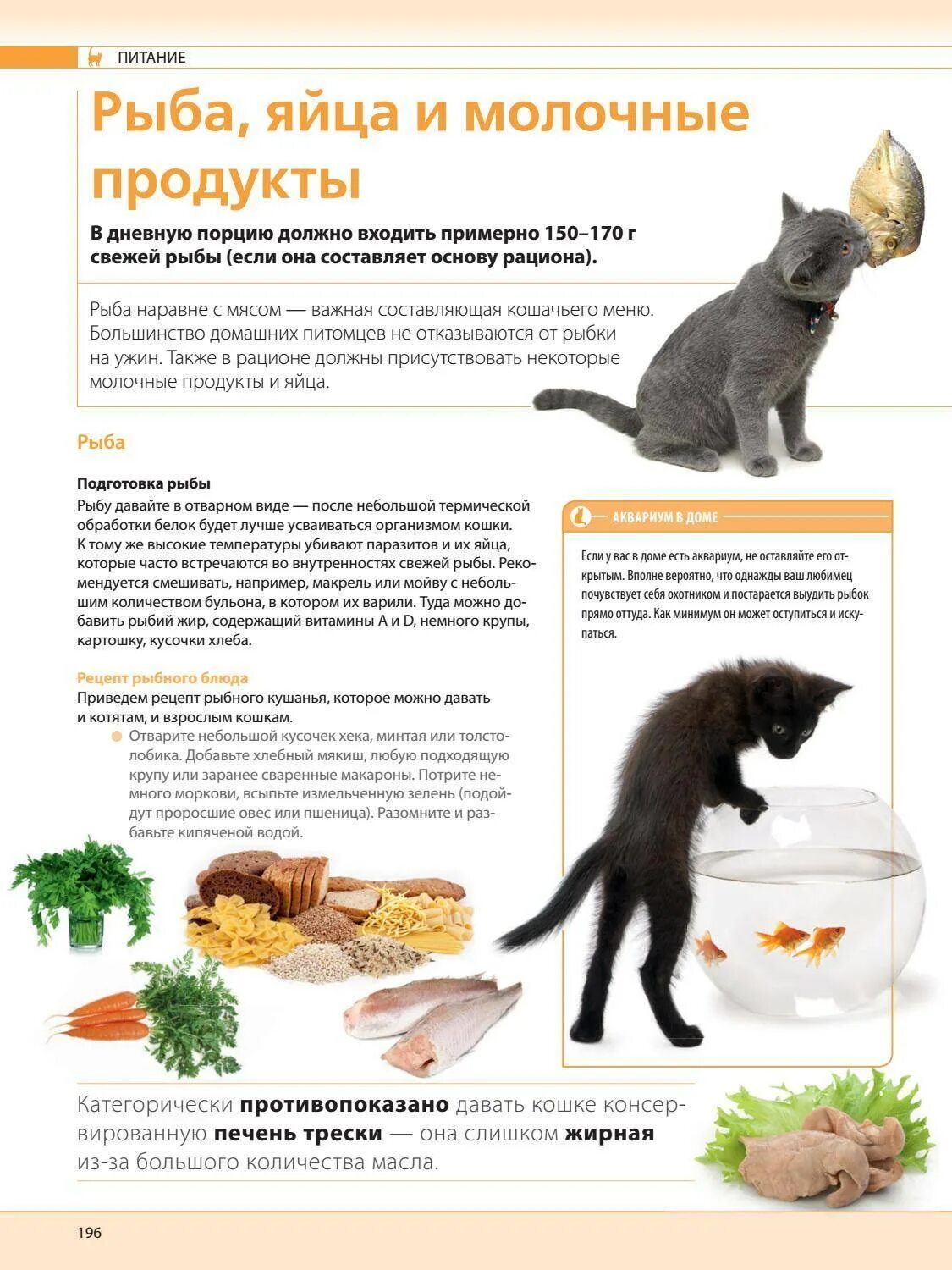 Рацион кошки. Натуральное питание для котят. Рацион еды для кошек. Правильное питание для котов и кошек. Можно ли котенка