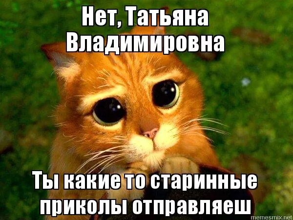 приколы про татьяну. приколы про таню. смешные стишки про таню. анекдоты про таню. смешные стишки про таню.