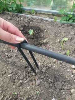 Автополив жук для теплицы