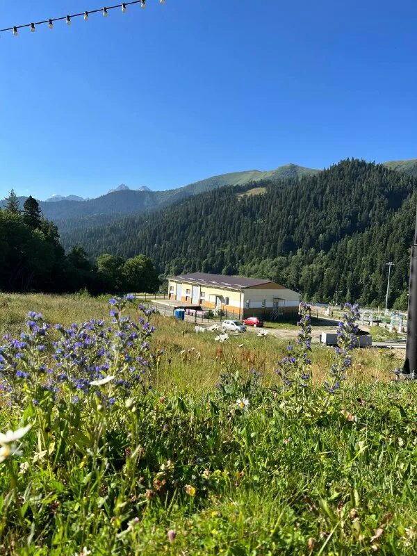 предвесенних как пишется. девушка на природе. турбаза шови в грузии. счастливый ребенок. поляна наслаждалась солнцем и пила поднебесную.