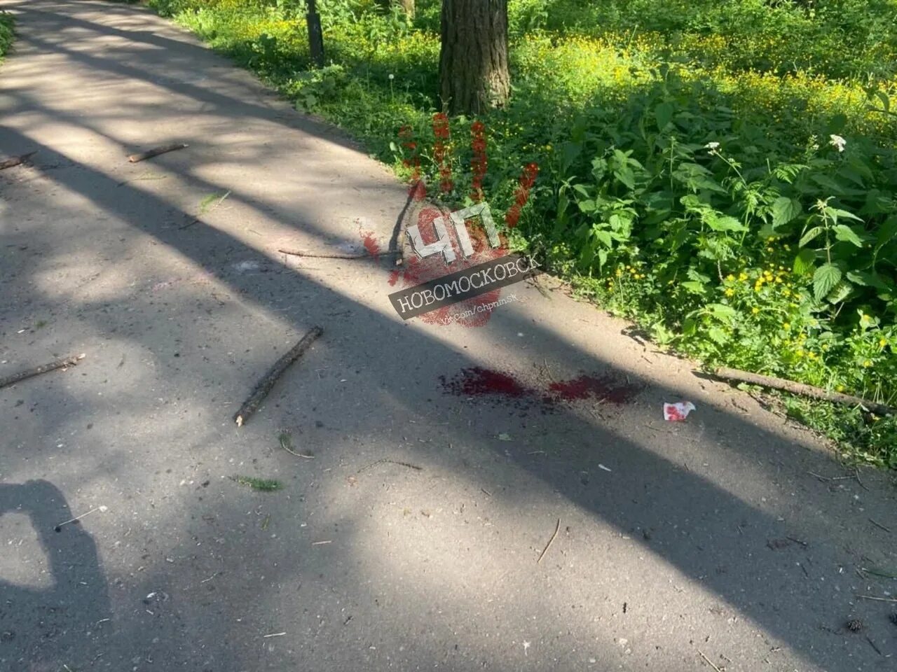 Яблоки ветки мусор. Чп веткам. Чп веткам. Упавшее дерево в лесу. Чп веткам.