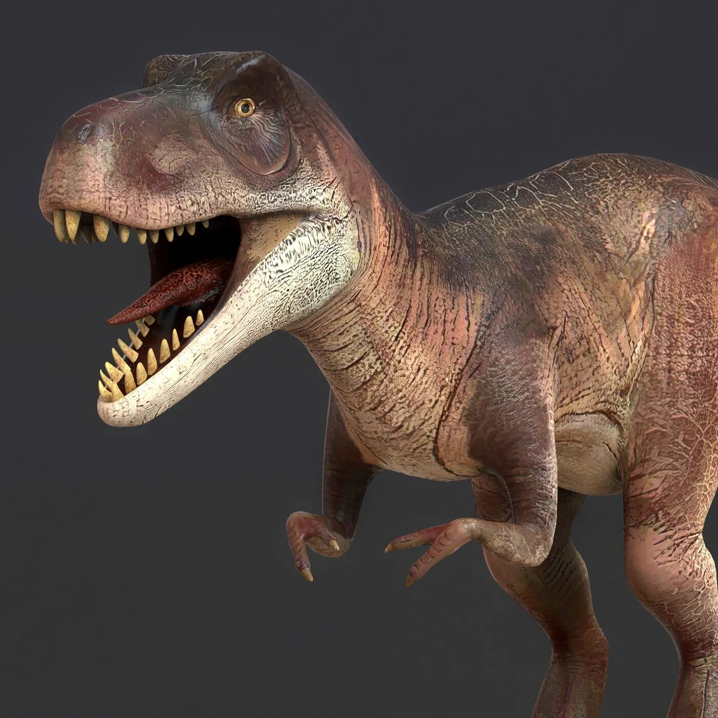 Dinosaur models
