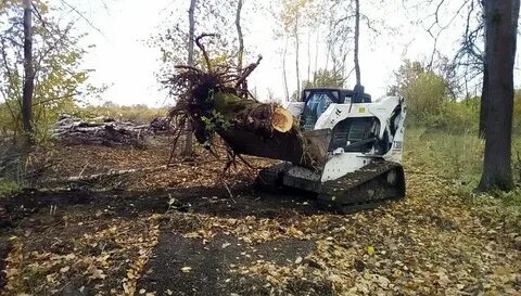 Тендеры расчистка