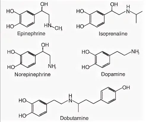 Noradrenaline это