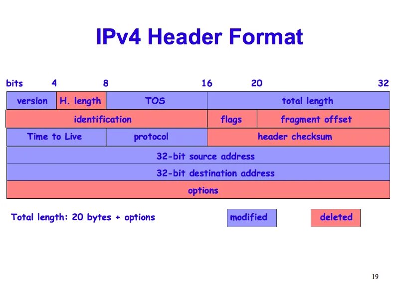 Сколько ipv4. Структура ipv4. Заголовок ipv4. Ipv4 header. Формат заголовка IP.