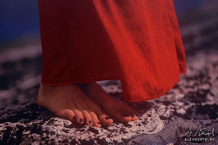 босые ноги девочек. кроссовки босиком. босиком в жару. босиком по щебенке. осенняя листва под ногами.