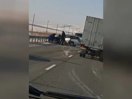 Автобус забайкальск