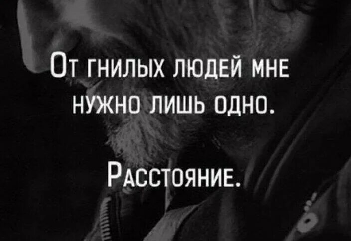 Про крыс людей со смыслом. Люди крысы статусы. статусы про гнилых людей. цитаты про людей крыс. гнилые люди.