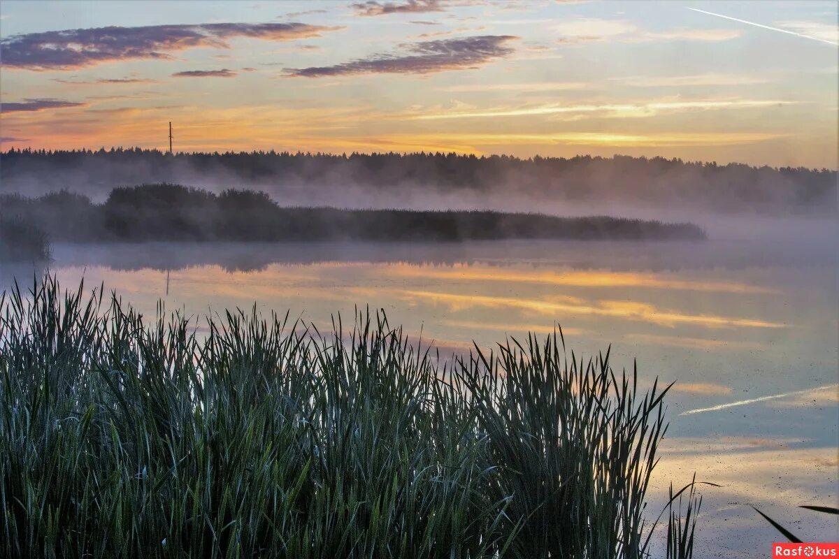выткался над озером. туман озеро рассвет розовый. мещера заря. выткался над озером. стихотворение есенина выткался на озере.