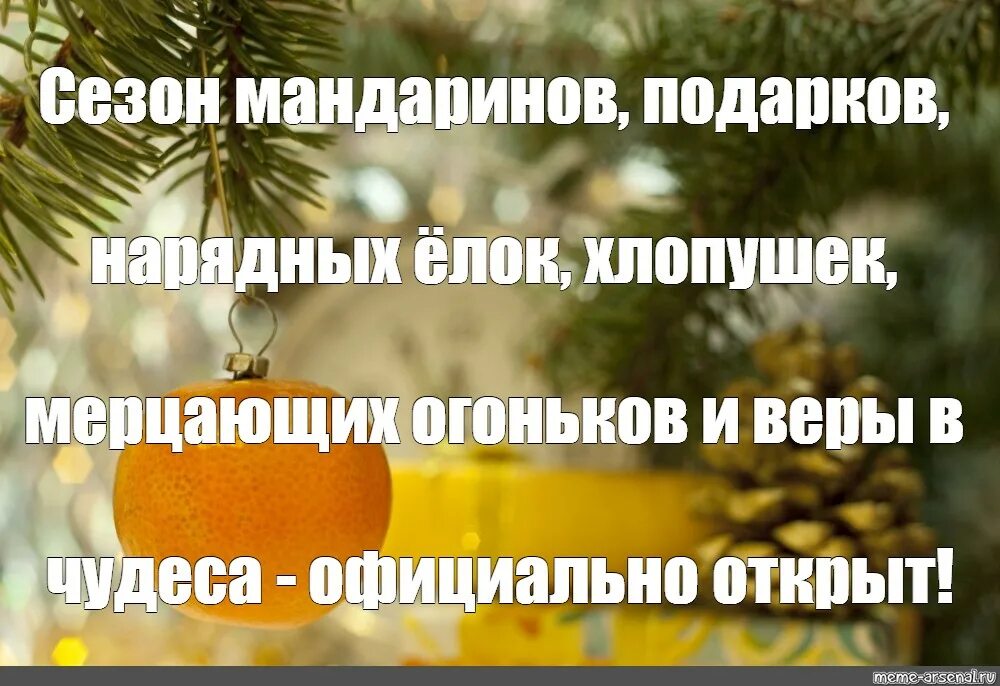 Почему не чувствуется новый год. Сезон мандаринов. сезон мандаринов открыт. цитаты про мандарины и новый год. новогодние мемы мандарины.