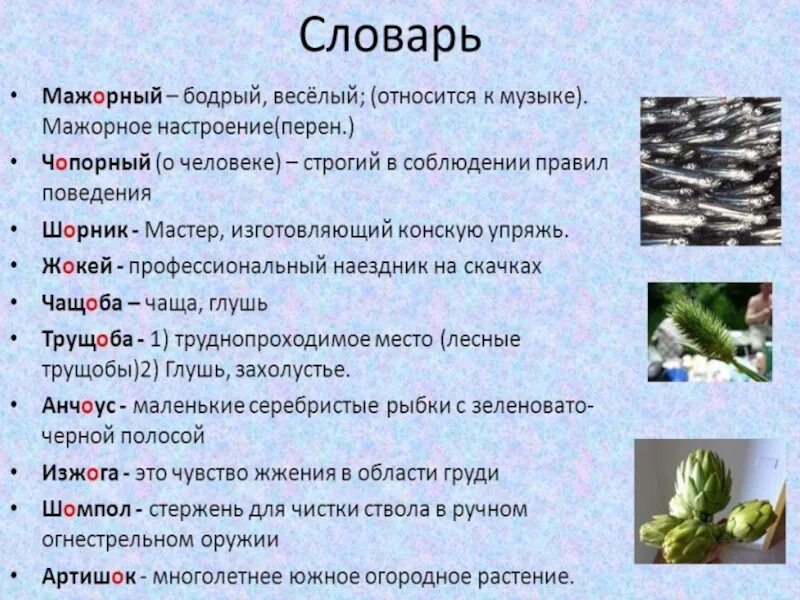 Чопорный словарное слово. Чопорный словарное слово. Предложение со словом шов. Чопорный исключение. Чопорный лексическое значение.