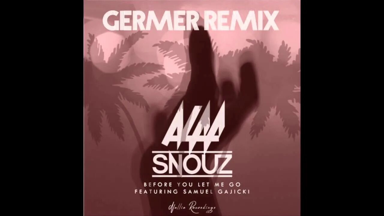 Before you let me go. I will go with you remix.
